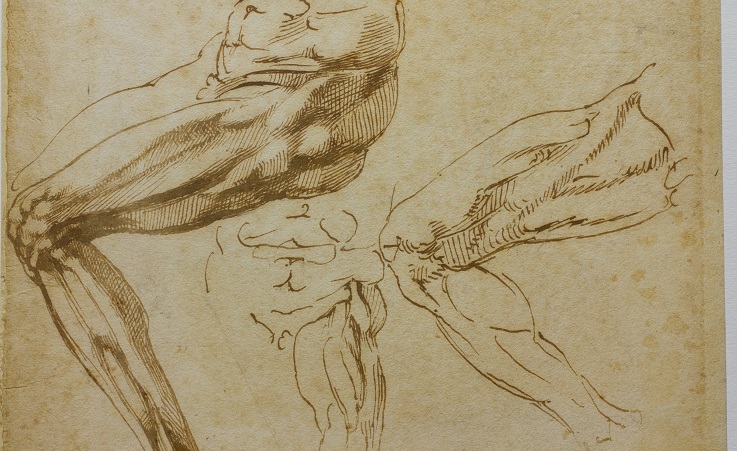 Michelangelo. Disegni da Casa Buonarroti